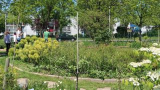 Une journée scientifique et un séminaire, le 27 septembre à l’Horti-Pôle Évreux (27), va aborder le rôle de l’enseignement agricole dans la démarche Végétal local. ©O.Maillard